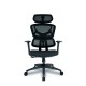 Trinity Ergonomic High Back Mesh Chair